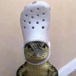 WIFCROC