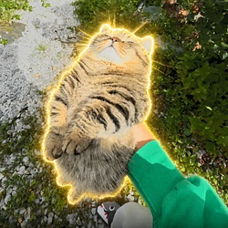 Mi