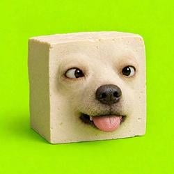 TOFU / SOL