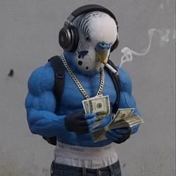 50Bird