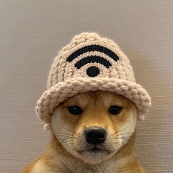 wifihat