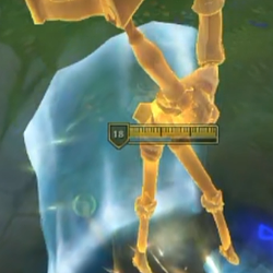 Braum