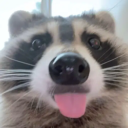 BANDIT