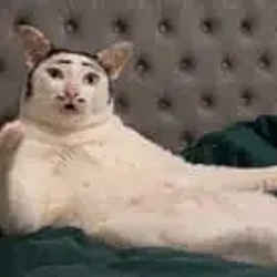 TOPCAT