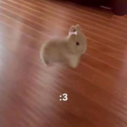 :3