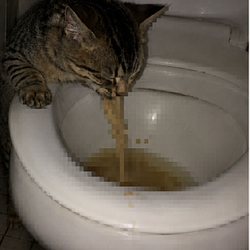 DRKIT