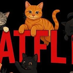 CATFLIX