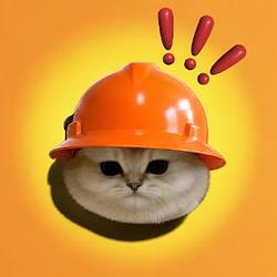 BONKCAT