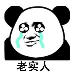 老实人