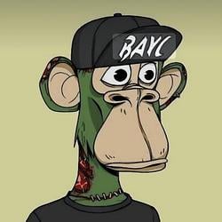 BAYC