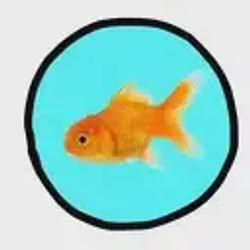 goldfish