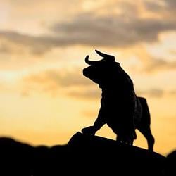 BULLISH