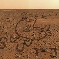 MARSBUTT / SOL