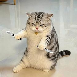 angry / SOL