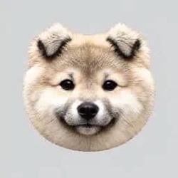 koinu