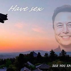 Have Sex