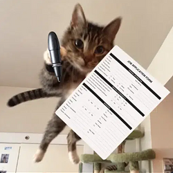 jobcat