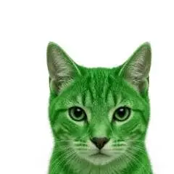 PVECAT