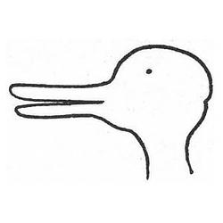 DUCKRABBIT