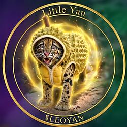 LEOYAN / SOL