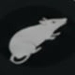 RATRACE