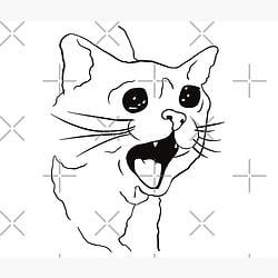 $CAT