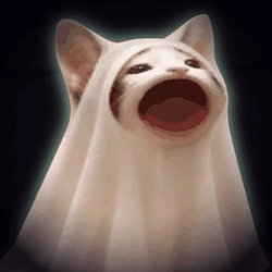 boocat