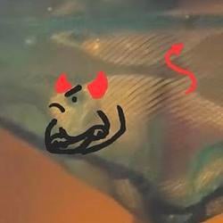 EVILFISH / SOL