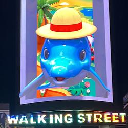 walking / SOL