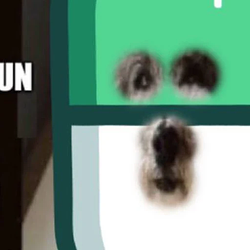 PUMPDOG