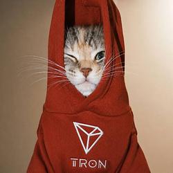 TRONCAT