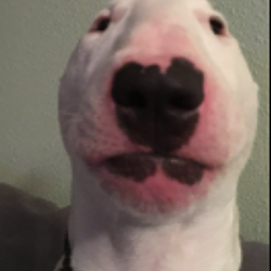 WALTER