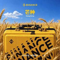 芒种 / BNB