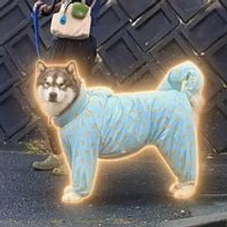 アル