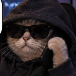 RETIRECAT