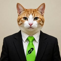 TIE / USDG