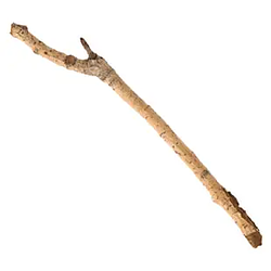 stick / SOL