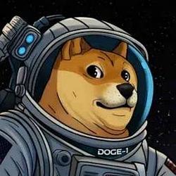 DOGE-1