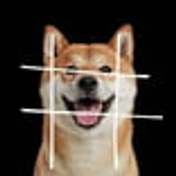 HASHDOG