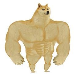 SWOLED0GE / SOL