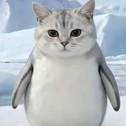 Hybrid cat