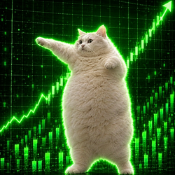 FateCate