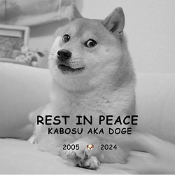 Kabosu